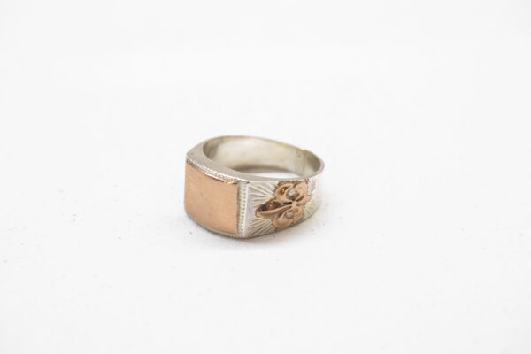 Anillo de plata con mesa y apliques de oro (mesa curva)