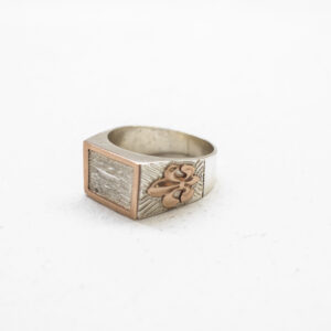 Anillo de plata con marco y apliques de oro (mesa recta)