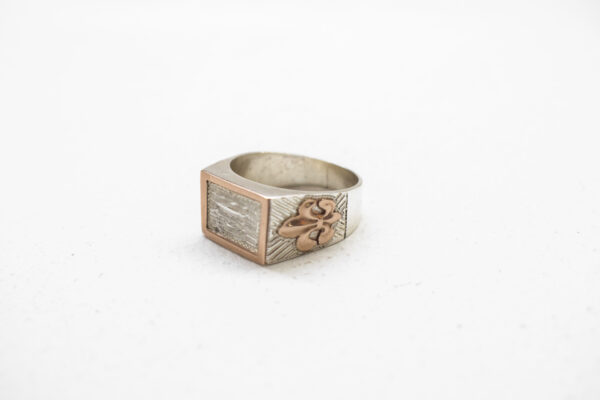 Anillo de plata con marco y apliques de oro (mesa recta)