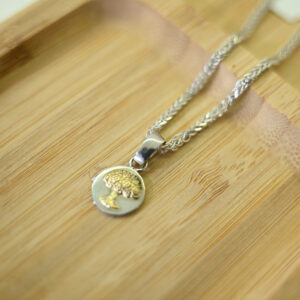 Pulsera de plata + medalla Árbol de la Vida